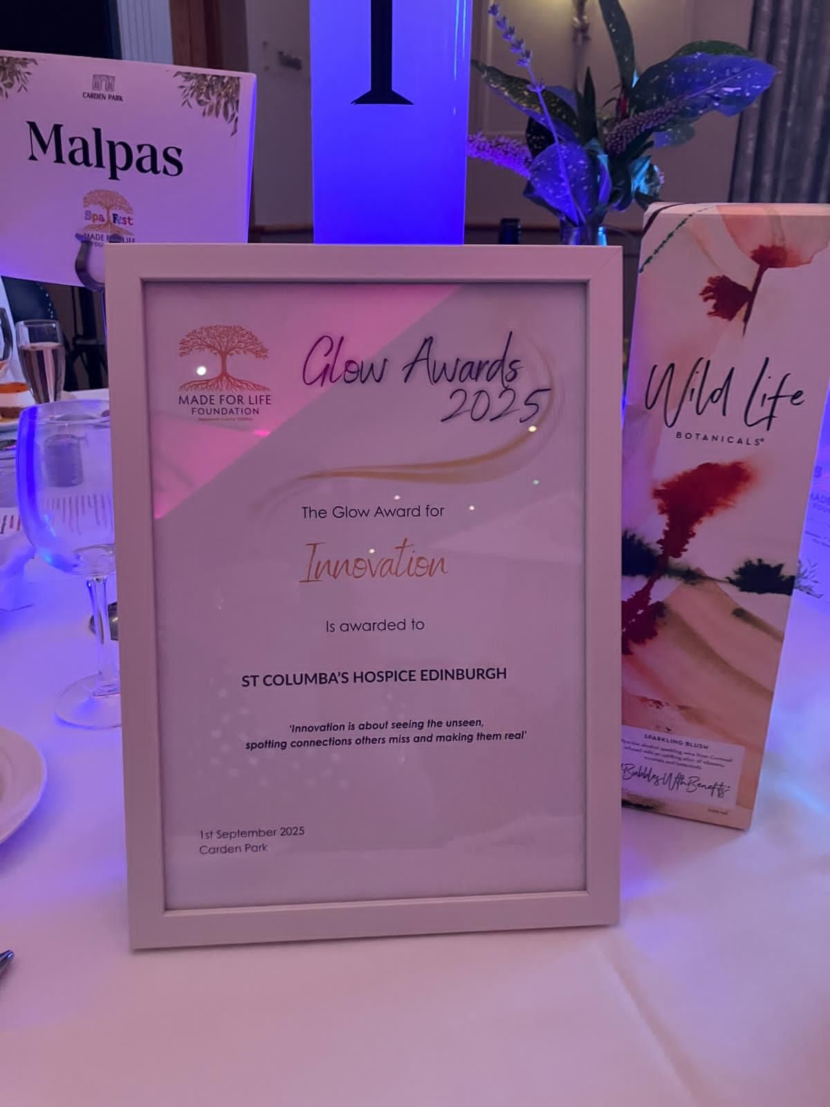 Innovation Award Winner